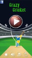 Crazy Cricket 포스터