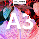 Mi A3 Wallpaper and Backgrounds APK