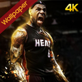 Miami Heat Wallpaper HD
