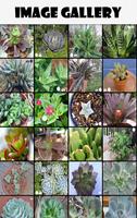 SucculentID Mobile Identify Your Succulent Plants ảnh chụp màn hình 2