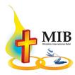 MIB12 иконка
