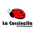 Cartoleria La Coccinella