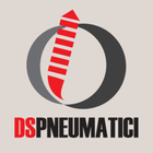 DS Pneumatici 아이콘