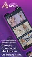 Aligned Spark постер