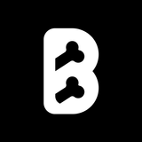 Barebone Budgeting icon