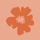 GraceLaced Collective APK