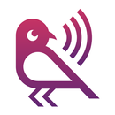 Fynch_ APK