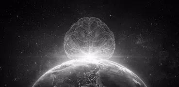 Kwik Brain Universe