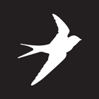 Icona Oiselle Volée