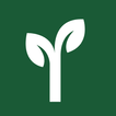 MyCoachingTree