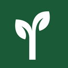 MyCoachingTree иконка
