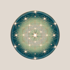 SWITCHAURA icon