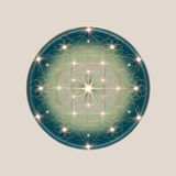 SWITCHAURA icon