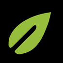 RestoreForward APK