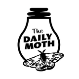 The Daily Moth biểu tượng