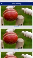 Cricket Bowling capture d'écran 1