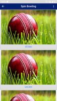 Cricket Bowling capture d'écran 2