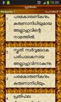 Malayalam Quran captura de pantalla 1