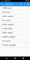 Sanskrit Vocabulary capture d'écran 3