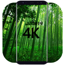 بک گراند جنگل APK