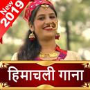 Himachali Song Video 2019 Video,Song, Nati, Bhajan APK