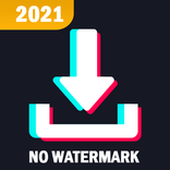 ”TikTok Video Downloader - No Watermark