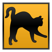 Cats of the world