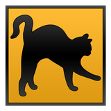 Cats of the world أيقونة