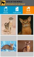 Cats of the world 截图 1