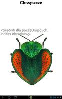 1 Schermata Coleoptera