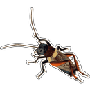 Bajki Konopnickiej cz.4 APK