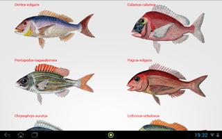 Fishes syot layar 1