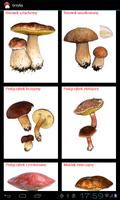 Edible Fungi capture d'écran 3