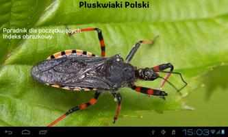 Pluskwiaki Ekran Görüntüsü 1