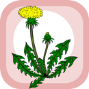 Home herbal APK