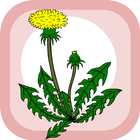 Home herbal ikon