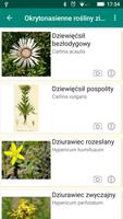Plants captura de pantalla 1