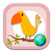 World birds