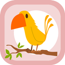 Polish Birds APK