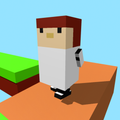 Voxel Bridge