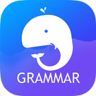 English Grammar: Learn & Test ícone