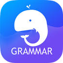 English Grammar: Learn & Test aplikacja