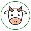Dhamdhere Dairy Farm