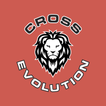 Cross Evolution icône