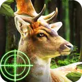 Deer Hunting