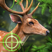 ”Deer Hunting: Sniper Shooting