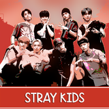 Stray Kids - All Song Offline