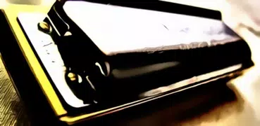Harmonica Exercises