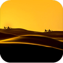 APK Wallpaper for Mi A1,Mix2,Note3