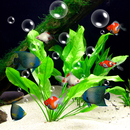 Aquarium Live Wallpaper 3D APK